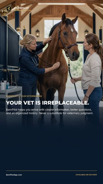 BarnPilot Instagram-Reel über organisierte Pferdesundheitsakten, Röntgenaufnahmen, Blutuntersuchungen, Impfungen und bessere Tierarztgespräche